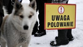 Nowelizacją Prawa łowieckiego na najbliższym posiedzeniu zajmie się Sejm (fot. arch.PAP/Darek Delmanowicz)