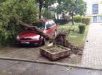 Wyrwane przez wichurę drzewo uszkodziło auto na jednej z ulic Bydgoszczy (fot. Olivia Ad)