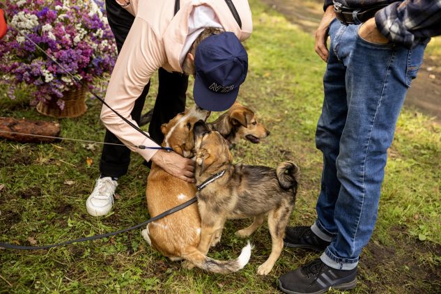 Dożynki w parku w Skojdziszkach [fotogaleria], fot. Karina Mieczkowska