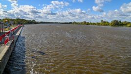  Water levels have surpassed alert levels in some areas of West Pomerania. Photo: PAP/Marcin Bielecki