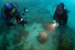 Over 100 bottles of champagne found on 19th century shipwreck