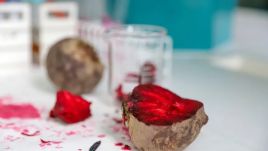 Researchers in Poznań decided to look at ways of creating a healthy solution to wasted beets. (Photo: UPP press materials)