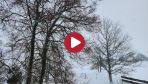 66030803_2023-02-03T15:47:01.478371584
