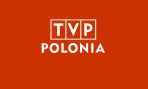 Polish content: TVP Polonia rebroadcasting possibility