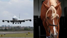 Photos: James D. Morgan/Getty Images, Fiona Goodall/Getty Images.