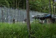 A post is standing in the area by the border wall in a forest in Podlasie, Poland. Photo by Kamil Jasinski/NurPhoto via Getty Images