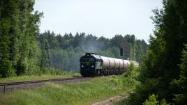 PKP Cargo train passing through a forest in southern Poland.  Photo: PAP/Michał Zieliński 