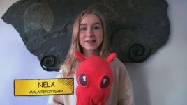 Życzenia z okazji Dnia Dziecka od Neli Małej Reporterki