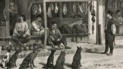 Dogs waiting outside a butcher’s shop in the Crimea. From a French book published in 1848, describing an 1837 scientific expedition to areas currently making up parts of Ukraine, Moldova, and Romania. Photo: SSPL/Getty Images