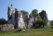 With the end of the 15th century, the site began to decline. To the present day, only a several-meter fragment of the stone wall remains. Photo: zamkomania.pl 