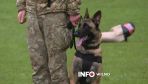Dzień psa w Wojsku Litewskim