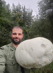 Piotr Grześ's photo went viral after he came across ‘the holy grail’ of mushrooms—the so-called Giant Puffball. (Photo: Grzybów Znawca via Facebook)