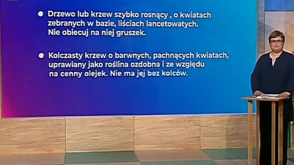 Szkoła Z Tvp Klasa 6 Język Polski Lekcja 2 12052020 Programy Oglądaj Na Tvp Vod 9174