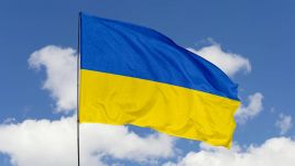- Siły zbrojne Ukrainy są w lepszej kondycji niż w roku 2014 - zauważył (fot. Shutterstock/tatoh)