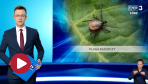 Fot. TVP3 Łódź