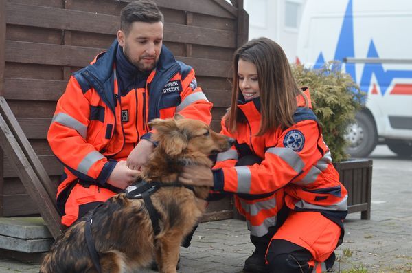 Z kolei Martyna sprowadzi do stacji nowego „ratownika”… na czterech łapach! Dziewczyna przygarnie psiaka – o wdzięcznym imieniu Klusek - którego właściciele zostaną potrąceni przez samochód. A doktor Góra zgodzi się, by „sierściuch” zamieszkał na kilka tygodni wśród ratowników – dopóki ranni nie wyjdą ze szpitala i nie będą mogli się nim zaopiekować.