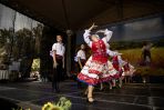 Dożynki w parku w Skojdziszkach [fotogaleria], fot. Karina Mieczkowska