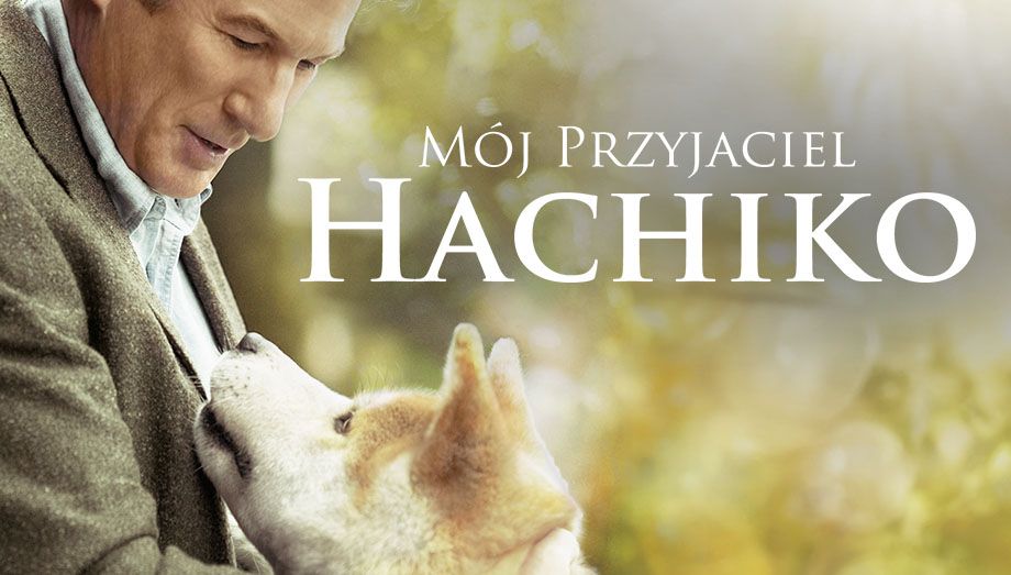 Mój Przyjaciel Hachiko Cały Film Po Polsku