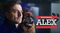 Komisarz Alex