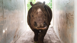 Photo: Wrocław Zoo/ press materials