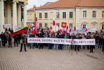 Przemarsz i wiec w obronie szkół mniejszości narodowych w Wilnie [fotogaleria], fot. TVP Wilno/Bartek Urbanowicz