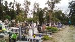 Drzewa wyrwane z korzeniami uszkodziły nagrobki na cmentarzu w Nakle (Bartłomiej Wnuk)