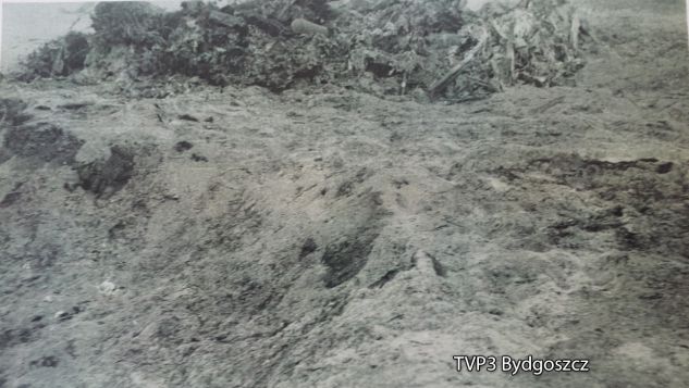 Samolot rozbił się na polach, na których były stogi słomy konopi