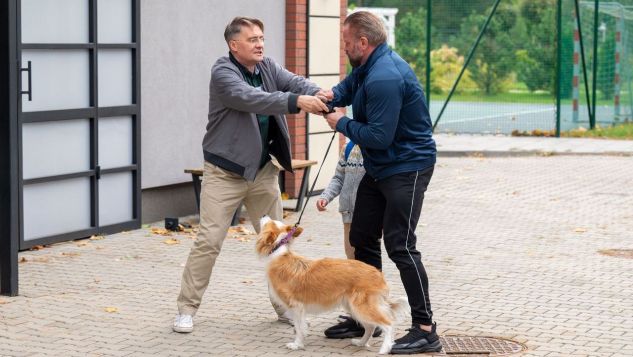 W odcinku 512 Artur odkryje z kolei, że Hiena została skradziona – i to właśnie jego „koledze” z przedszkola. Gdy mężczyzna zażąda zwrotu psa, doktor Góra jednak zgłosi weto… i tym razem okaże się wyjątkowo „asertywny”! - To jest mój pies! Został nam skradziony! Wiesz, jak długo Filipek za nim płakał?! - Współczuję, ale ja nic o tym nie wiedziałem... To chyba dobrze, że nie został na ulicy…? - Szukałeś właściciela!? Dawałeś ogłoszenia?! - A ty szukałeś, złamany kuprze?!