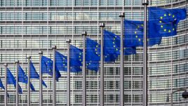 Europoseł EKR zwraca też uwagę na to, że PE generuje zbyt wysokie koszty (fot. Shutterstock/VDWimages)