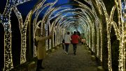 A recent survey has found that more than half of Warsaw’s residents cannot imagine winter without this installation. Archive photo: PAP/Marcin Obara