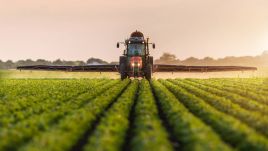 Obecnie w imieniu resortu rolnictwa nadzór nad spółkami rolnymi sprawuje Krajowy Ośrodek Wsparcia Rolnictwa (fot. Shutterstock/Fotokostic)