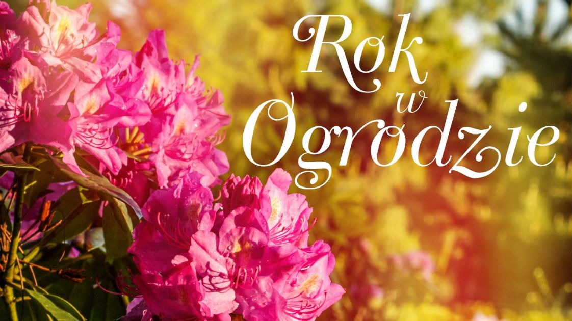 Youtube Rok W Ogrodzie 2019 Rok w ogrodzie - programy, Oglądaj na TVP VOD