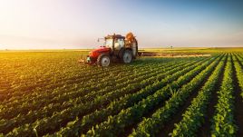 Polski rząd jest w awangardzie tych, które w Europie mówią o rolnictwie zrównoważonym - mówił Ciecióra (fot. Shutterstock/Fotokostic)