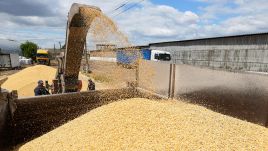 Ukraine has been one of the world's top grain and oilseeds exporters, Photo by Pavlo Gonchar/SOPA Images/LightRocket via Getty Images