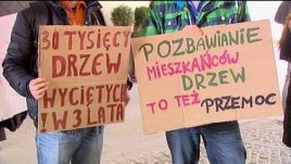 Mieszkańcy i działacze Stowarzyszenia Miasto Drzew protestują przeciwko wycince drzew we Wrocławiu
