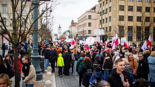 Przemarsz i wiec w obronie szkół mniejszości narodowych w Wilnie [fotogaleria], fot. TVP Wilno/Bartek Urbanowicz