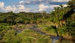 Polish scientists to search for signs of early human life in Africa