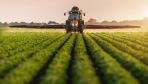 Projekt stwarza ramy prawne dla realizacji unijnej polityki rolnej w naszym kraju (fot. Shutterstock/Fotokostic)