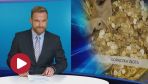 Fot. TVP3 Łódź 