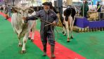 French farmers storm Paris fair ahead of planned Macron visit