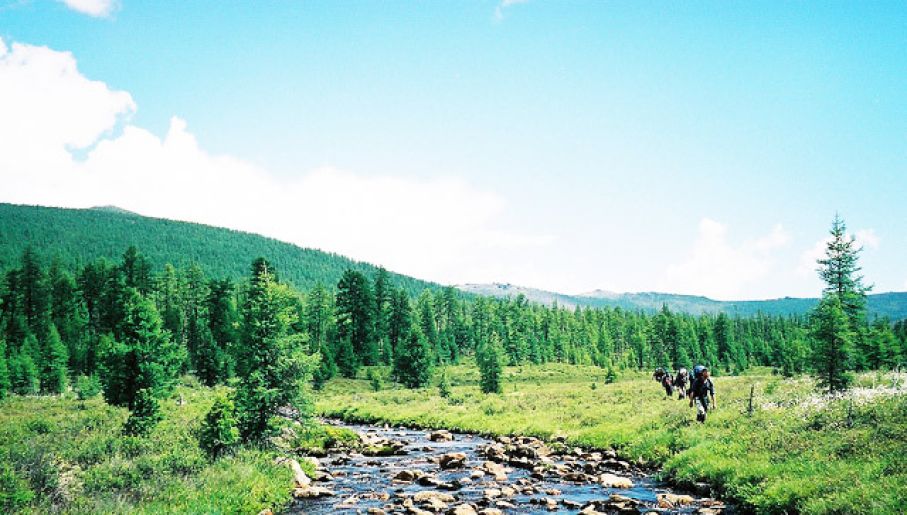 [Obrazek: uid_0351d485178041f09c69345fa639e9281374...ht_515.jpg]