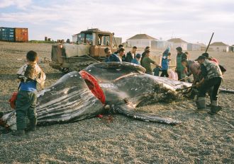 The Whale From Lorino