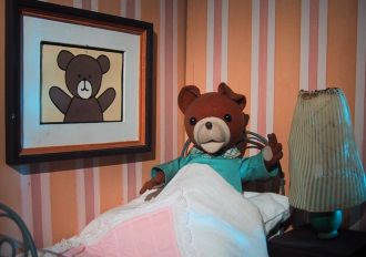 Teddy Drop-Ear