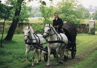 Sir Thaddeus, or the Last Lithuanian Foray