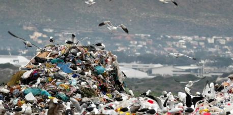 Dlaczego warto segregować odpady?