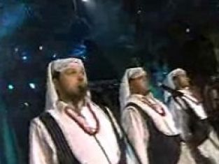 Koń Polski Biuro Matrymonialne Tvppl