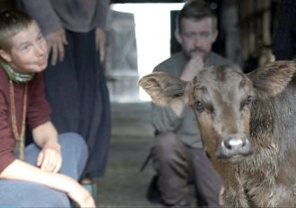 Village of Swimming Cows