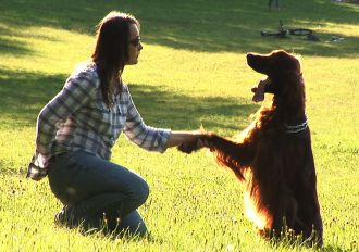 Dog Psychologist